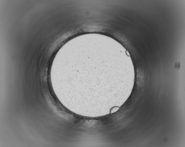 X0000112480631200909281110