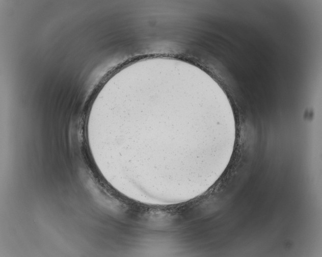 X0000112480632200909281110