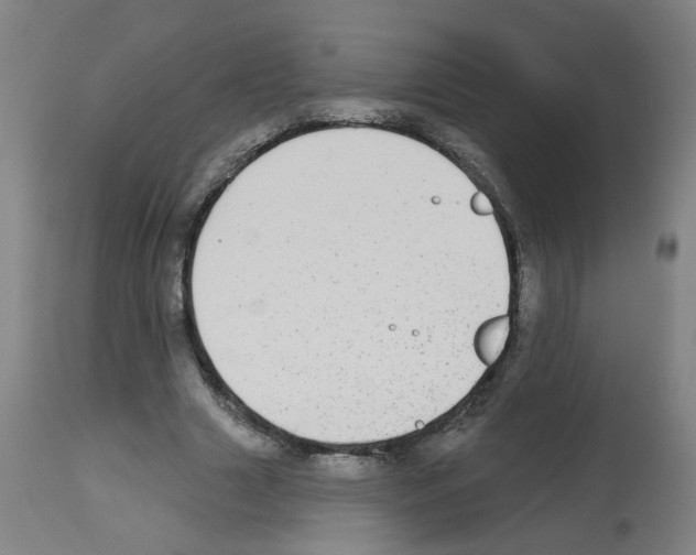 X0000112480633200909281110