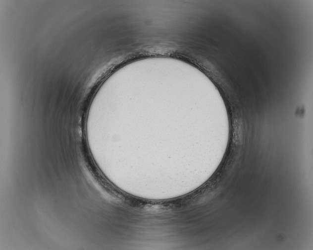 X0000112480634200909281110