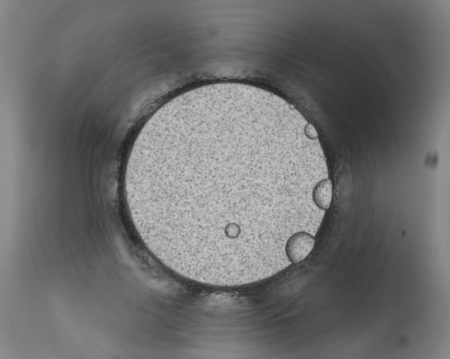 X0000112480635200909281110