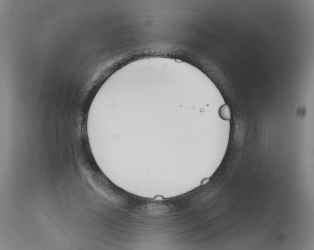 X0000112480636200909281110