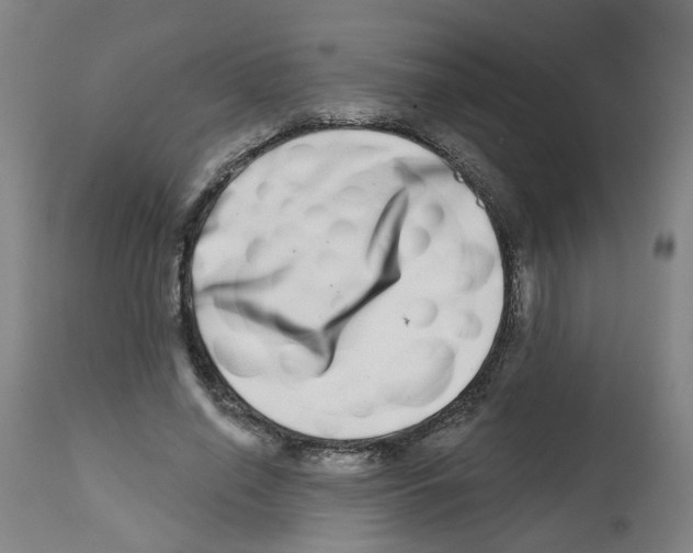 X0000112480638200909281110