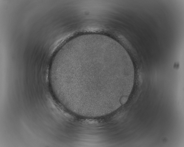 X0000112480640200909281110