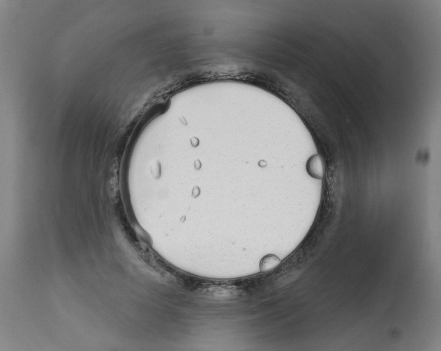 X0000112480642200909281110