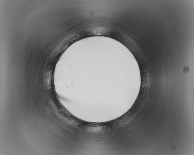 X0000112480646200909281110