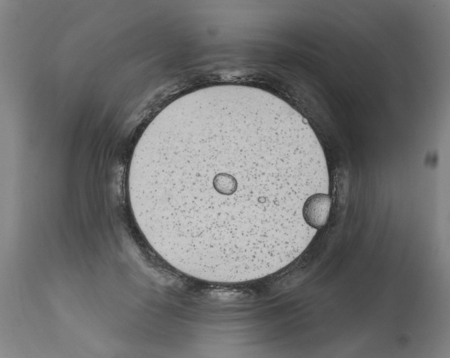 X0000112480650200909281110