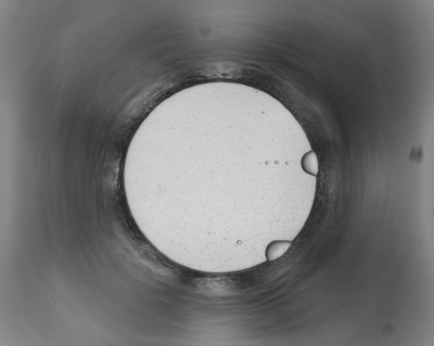 X0000112480652200909281110