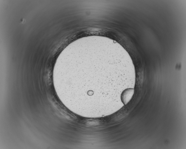 X0000112480653200909281110