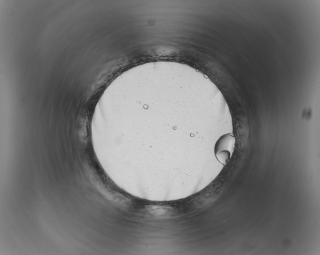 X0000112480654200909281110