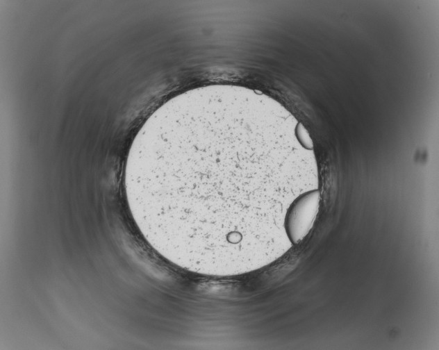 X0000112480655200909281110