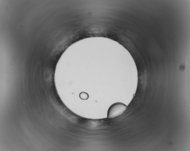 X0000112480662200909281110