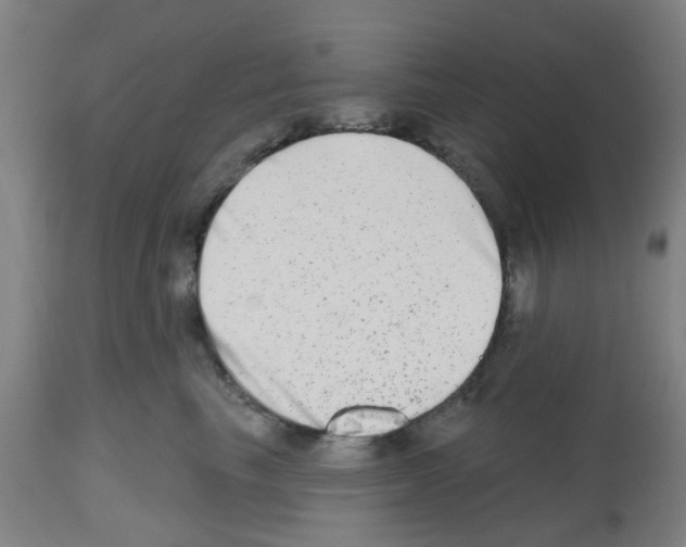 X0000112480665200909281111