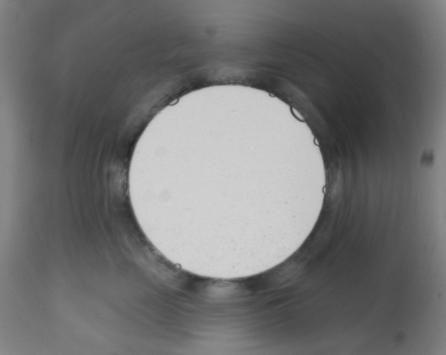 X0000112480669200909281111