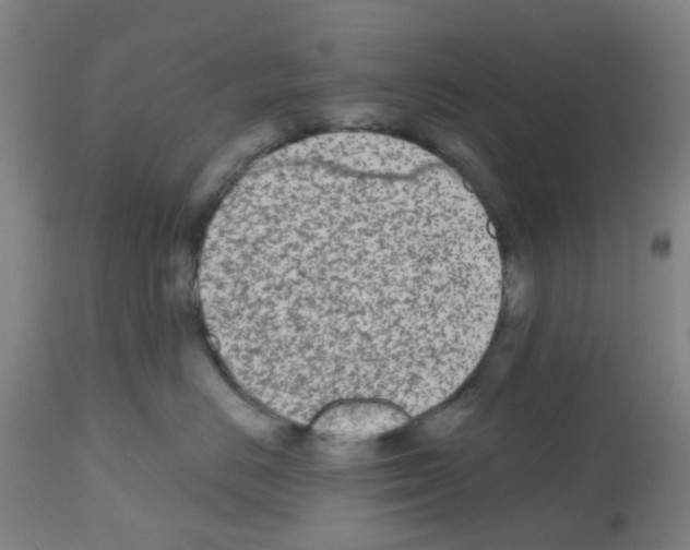 X0000112480670200909281111