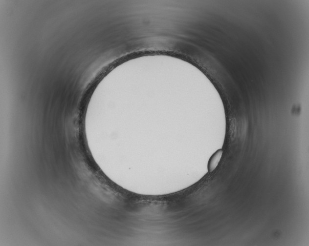 X0000112480676200909281110