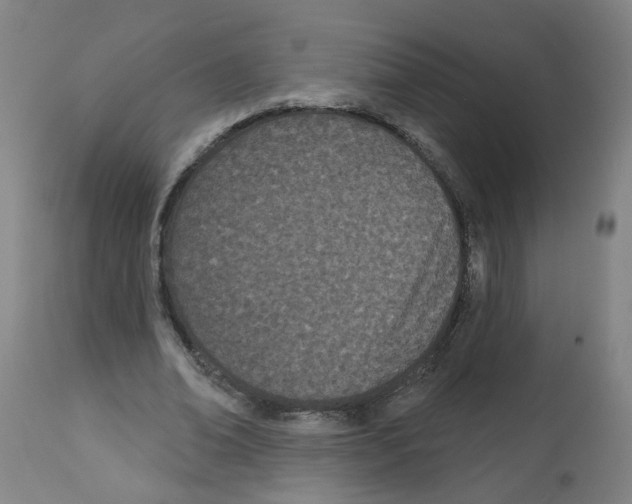 X0000112480678200909281110