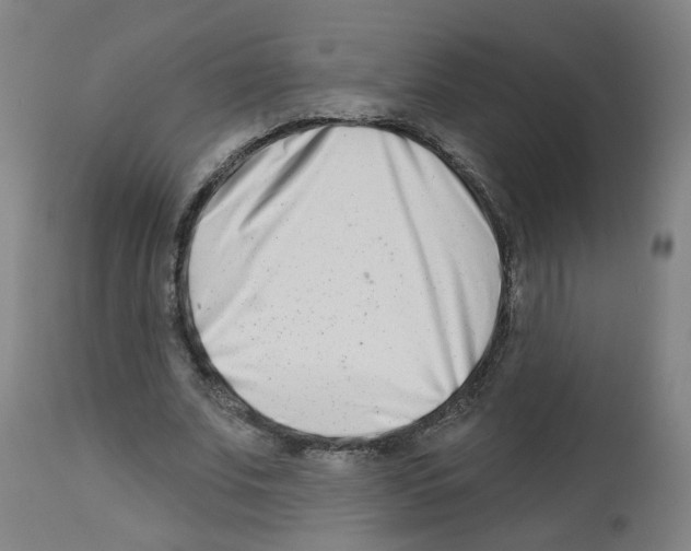 X0000112480679200909281110