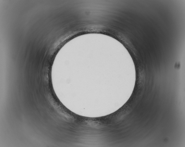 X0000112480681200909281109