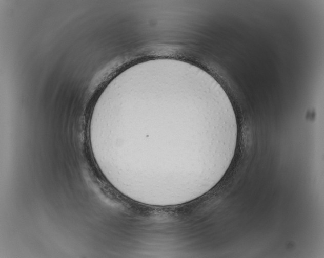 X0000112480682200909281109