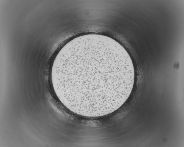 X0000112480683200909281109