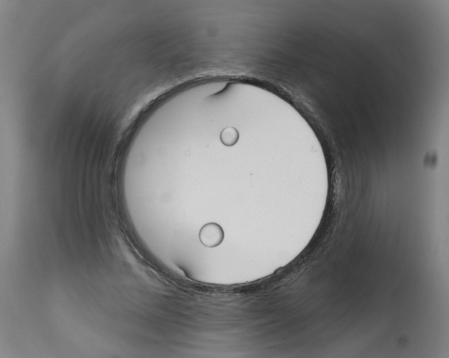 X0000112480684200909281109