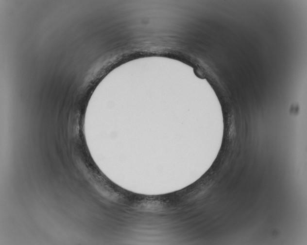 X0000112480685200909281109