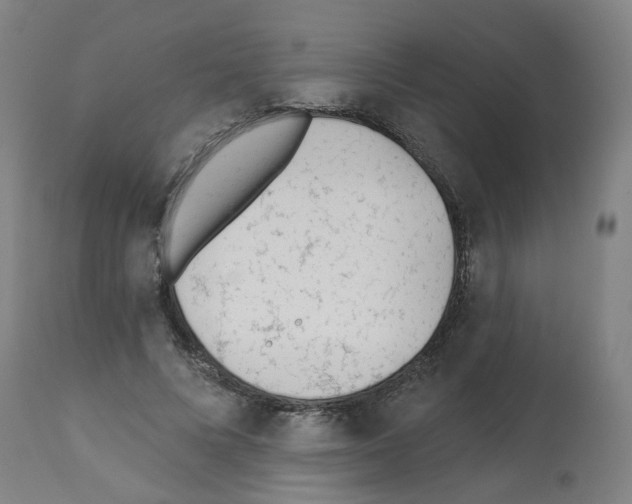 X0000112480688200909281109