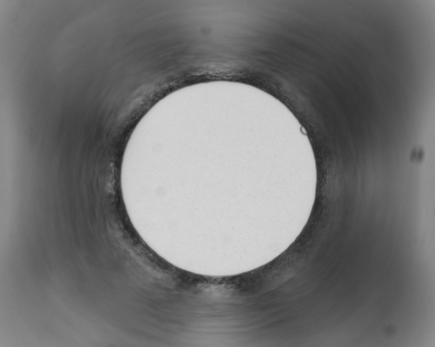 X0000112480689200909281109