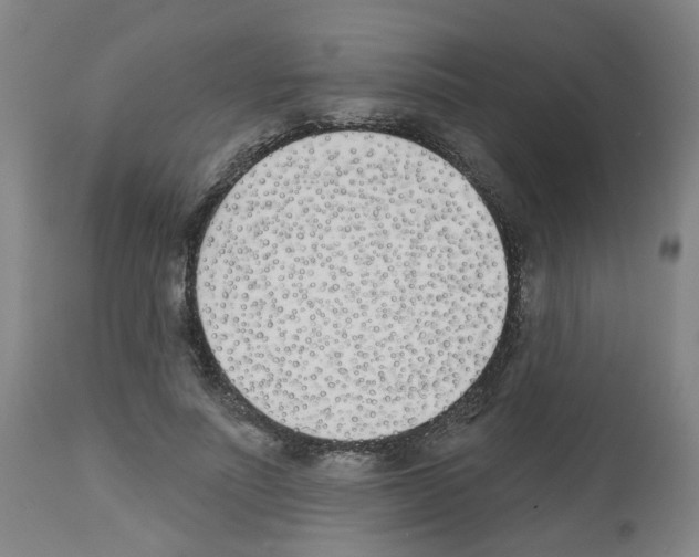 X0000112480691200909281109