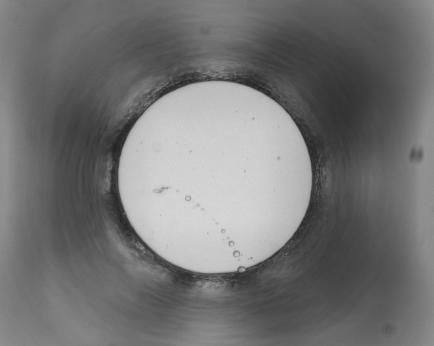 X0000112480694200909281109