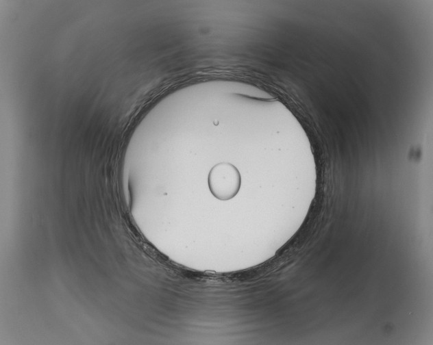 X0000112480697200909281109