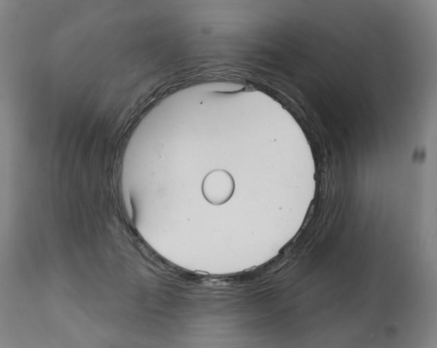 X0000112480701200909281109