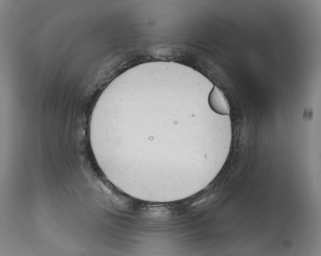 X0000112480702200909281109