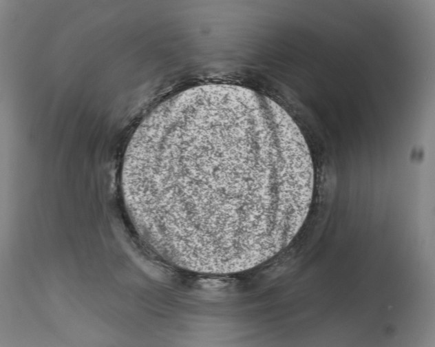 X0000112480703200909281109