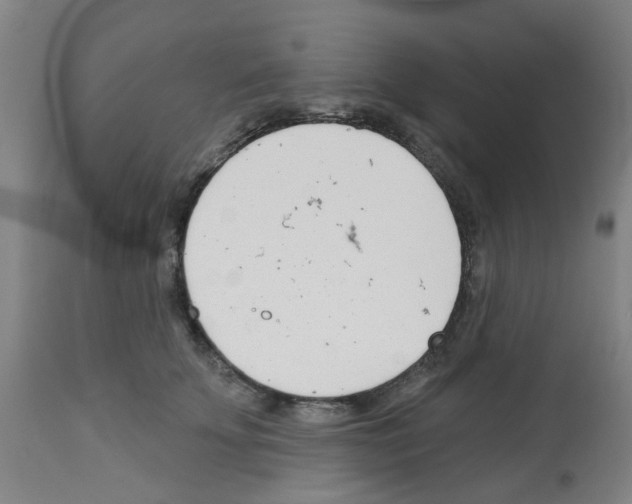 X0000112480707200909281109