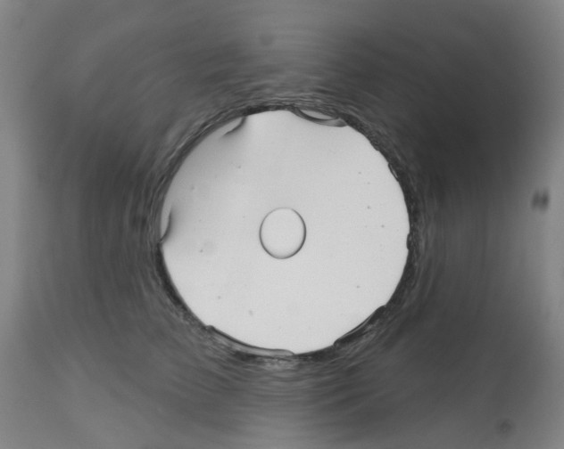 X0000112480709200909281109