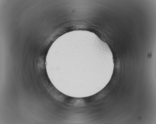 X0000112480715200909281109