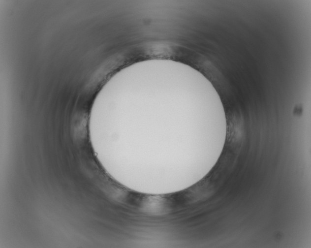 X0000112480717200909281109