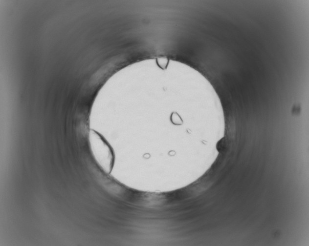 X0000112480719200909281109