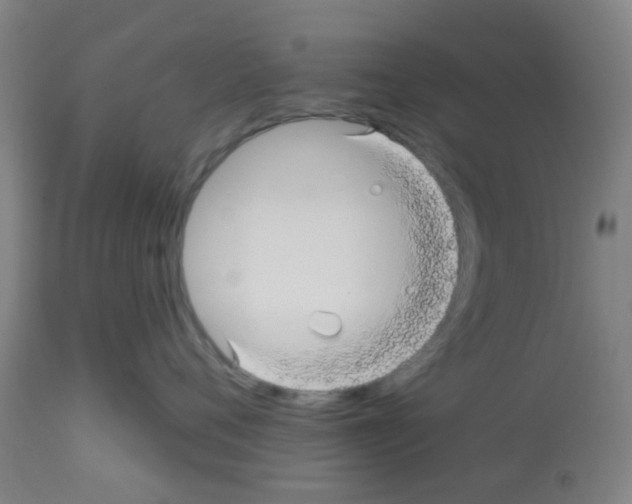 X0000112480720200909281109