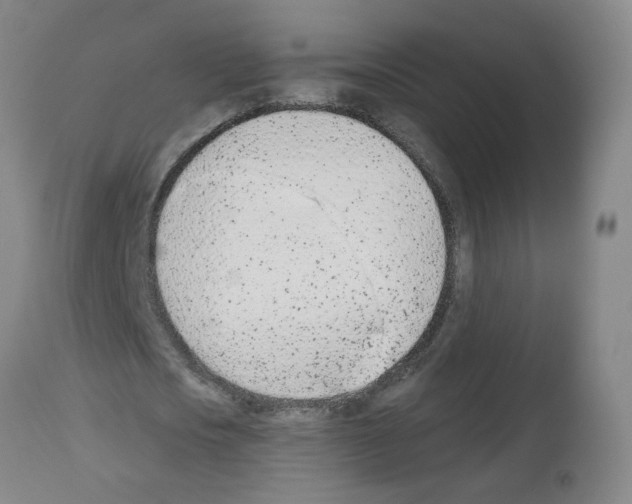 X0000112480721200909281108