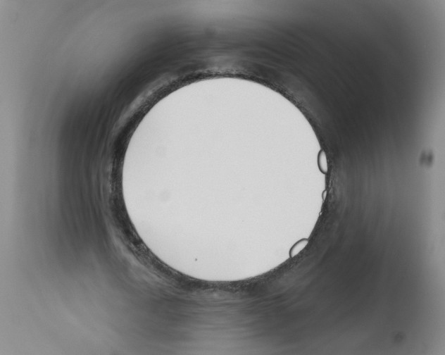 X0000112480722200909281108