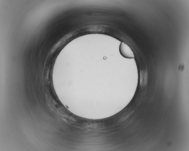 X0000112480723200909281108