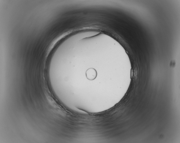 X0000112480724200909281108