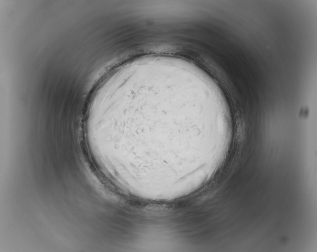 X0000112480725200909281108