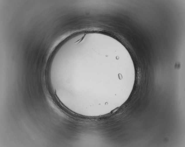 X0000112480726200909281108