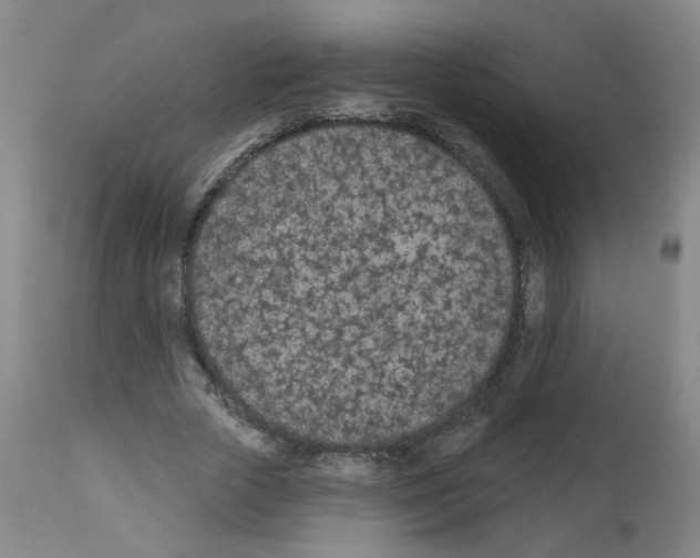 X0000112480729200909281108