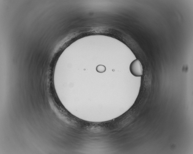 X0000112480730200909281108