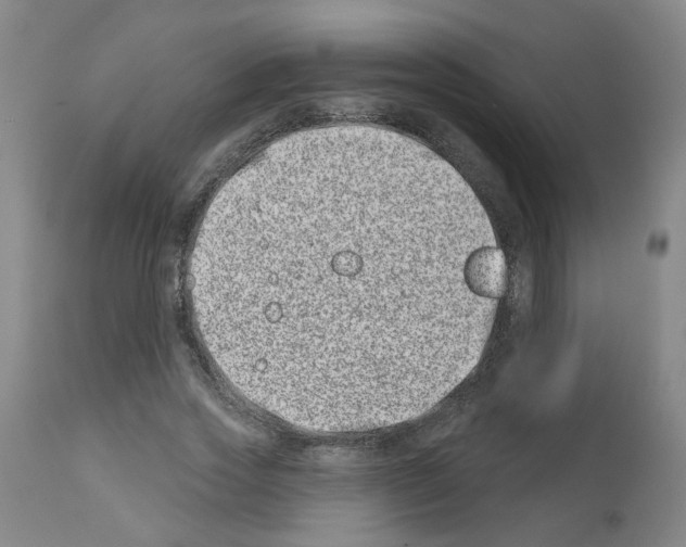 X0000112480733200909281108